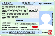 在留カード/特別永住者証明書